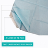 Paper+PE Dental Bibs Disposable Waterproof Dental Bibs/Apron with 2/3 Ply 