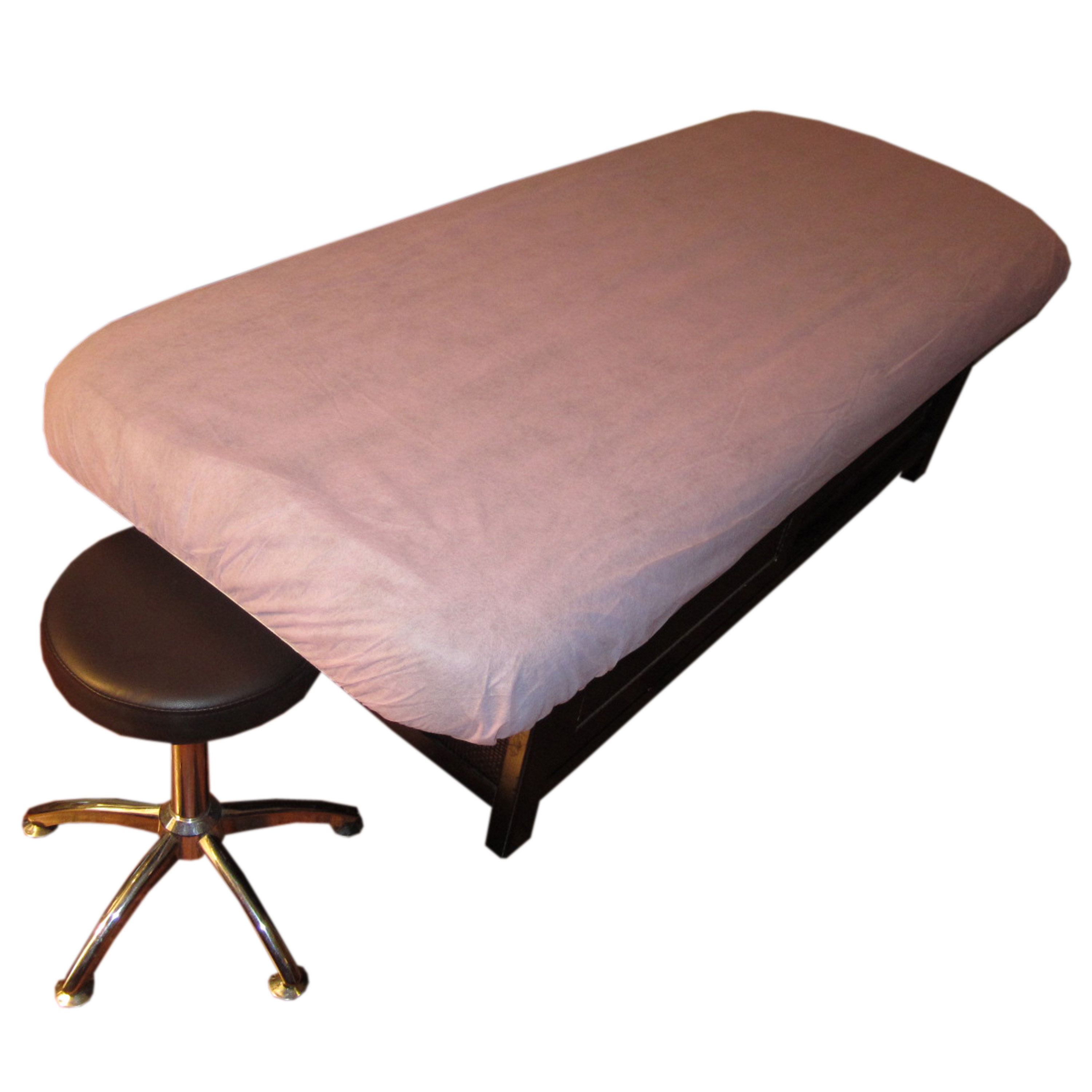 Disposable beauty salon use nonwoven bed cover with ties